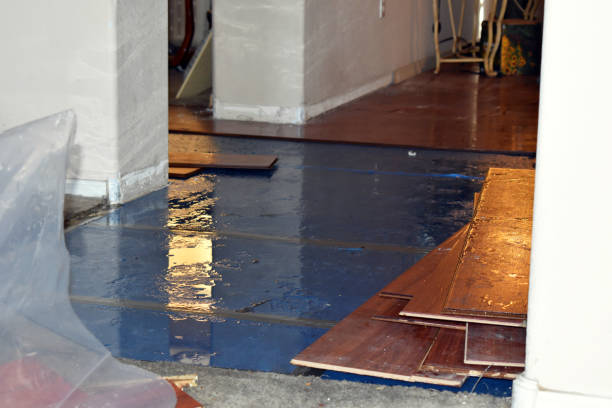 Professional Sewage Cleanup technician working in West Paris, ME